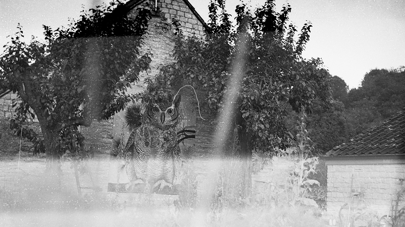 painted own on a wall from the view of a vegetable patch